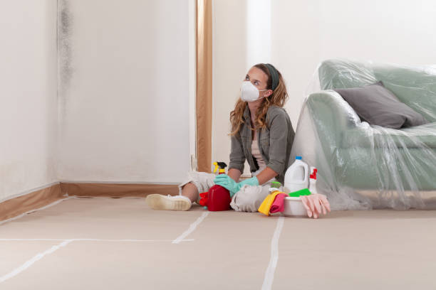 Reliable Commercial Mold Remediation contractor in Mount Wolf, PA by WQB Mold Removal